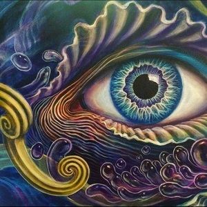 Meet your Posher, Dani